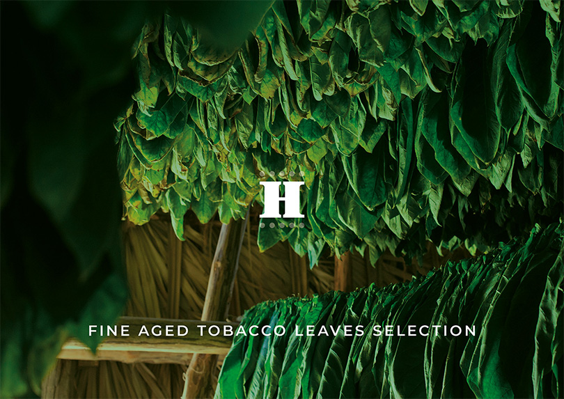 PFH - New World Cigars - Horacio